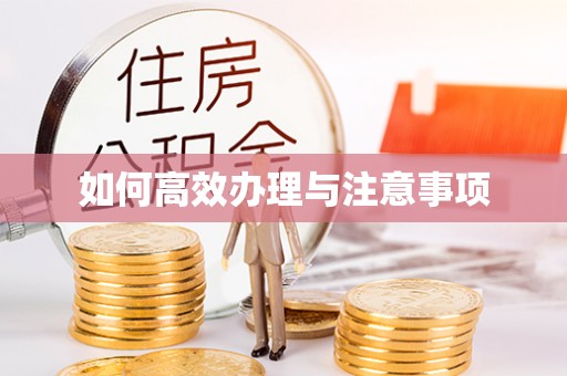安康如何高效办理与注意事项