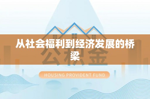 安康从社会福利到经济发展的桥梁