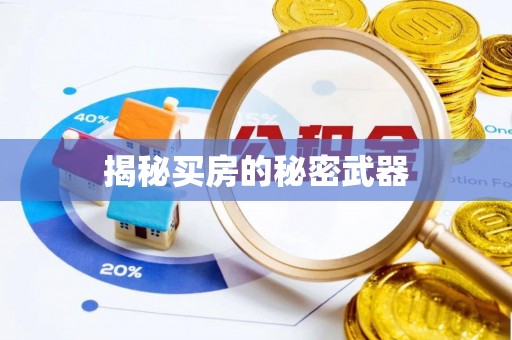 安康揭秘买房的秘密武器