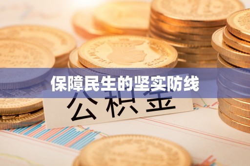 安康保障民生的坚实防线