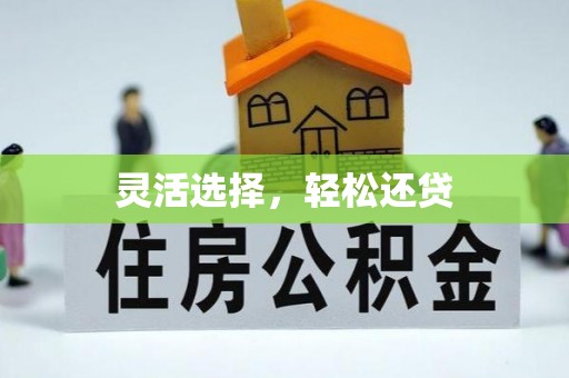 安康灵活选择，轻松还贷
