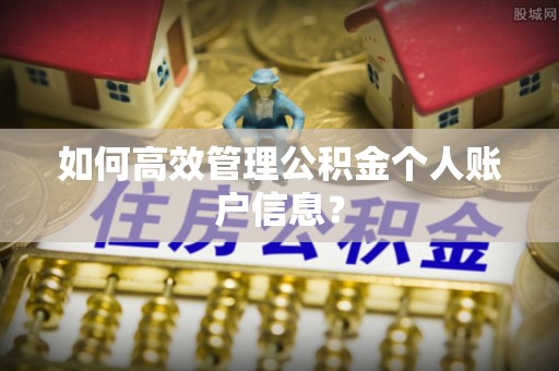 安康如何高效管理公积金个人账户信息？