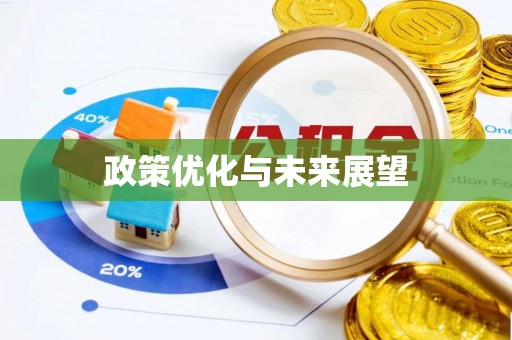 安康政策优化与未来展望