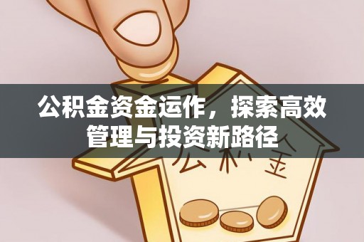 安康公积金资金运作，探索高效管理与投资新路径