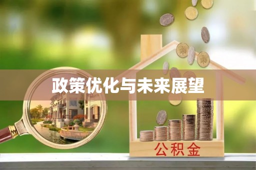 安康政策优化与未来展望