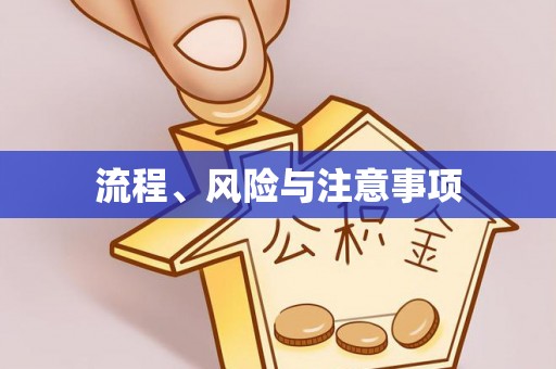 安康流程、风险与注意事项